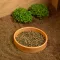 Тераріумний стартовий набір HABISTAT TORTOISE TABLE ACCESSORY KIT (R1100025) — Фото 14