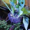 Контейнер для вирощування рослин в акваріумі Hobby Plant basket 8×9×8см (61330) — Фото 13