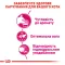 Сухий корм Royal Canin EXIGENT AROMATIC для котів всіх порід 2 кг — Фото 13
