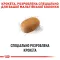 Сухий корм Royal Canin MALTESE ADULT для дорослих собак породи Мальтез 1,5 кг — Фото 9