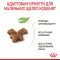 Сухий корм Royal Canin KITTEN для кошенят всіх порід 10 кг — Фото 12