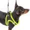 Ferplast KAORI P XS HARNESS BLACK/YELL Шлея,чорно-жовта — Фото 11