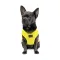 Борцівка Pet Fashion «Puppy» для собак, розмір XS2, жовта — Фото 8