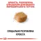 Сухий корм Royal Canin YORKSHIRE ADULT для дорослих собак породи Йоркшир-тер'єр 1,5 кг — Фото 9