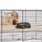Ferplast CAGE KARAT 100 Клітка з склян піддоном для мишей та хом'яків — Фото 18