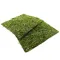 Фон моховий Repti-Zoo Natural Moss Back & Bottom 20x20см 2шт. (NCM2020) — Фото 13