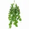 Штучна рослина Hobby Climber Heartleaf 70 см (37727) для тераріуму, акватераріуму та палюдаріуму — Фото 3