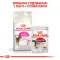 Сухий корм Royal Canin EXIGENT AROMATIC для котів всіх порід 2 кг — Фото 10