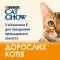 Сухий корм CAT CHOW Adult для дорослих котів з качкою 15 кг — Фото 19