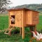Ferplast CAGE HEN HOUSE 10 Будинок для курей, дерев'яний — Фото 15