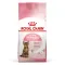 Сухий корм Royal Canin KITTEN STERILISED для кошенят всіх порід 0,4 кг+KITTEN STERILISED CIG 85 г — Фото 6