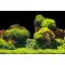 Акваріумний задній фон Aqua Nova Скелі/Рослини 100x50см (ROCK/PLANTS L) — Фото 6
