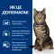 Hill’s Prescription Diet Metabolic Сухий корм для котів для контролю та зниження ваги, з куркою, 1,5 кг — Фото 11