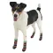 Ferplast PET SOCKS ANTISLIP LARGE (x4) Захисне взуття для собак — Фото 3