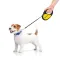 Повідець-рулетка для собак WAUDOG R-leash, малюнок "Сміливість", S, до 15 кг, 5 м, світловідбиваюча стрічка чорний — Фото 17