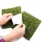 Фон моховий Repti-Zoo Natural Moss Back & Bottom 20x30см 2шт. (NCM3020) — Фото 13