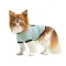 Футболка Pet Fashion Oscar для собак бавовна трикотаж рібана блакитна M — Фото 5