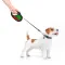 Повідець-рулетка для собак WAUDOG R-leash, малюнок "Калина", S, до 15 кг, 5 м, світловідбиваюча стрічка чорний — Фото 16