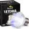 Лампа для тераріуму Terrario Tayenna 25W UVB 3.0 E27 для тропічних рептилій та амфібій — Фото 8