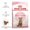 Сухий корм Royal Canin KITTEN STERILISED для кошенят всіх порід 0,4 кг+KITTEN STERILISED CIG 85 г — Фото 7