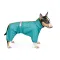 Дощовик Pet Fashion «Rain» для собак, розмір M, бірюза — Фото 3