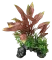 Штучна рослина для акваріума SF DECO PLANT L HENKELIANUS (A4070535) — Фото 3