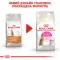 Сухий корм Royal Canin EXIGENT PROTEIN для котів всіх порід 2 кг — Фото 9