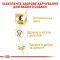 Сухий корм Royal Canin LABRADOR ADULT для дорослих собак породи Лабрадор 12 кг — Фото 7