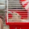 Ferplast CAGE CONEY ISLAND WHITE (x1) Клітка для хом'яків — Фото 12