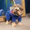 Дощовик Pet Fashion «Silver» для собак, розмір M, синій — Фото 5