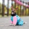 Комбінезон Pet Fashion Milly дівчинка для собак S — Фото 9