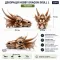Декорація череп дракона Hobby Dragon Skull L 28,5×21,5×19,5см для акваріума і тераріума (32076) — Фото 11