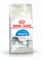 Сухий корм Royal Canin INDOOR для котів всіх порід 4 кг — Фото 6
