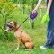 Повідець-рулетка для собак WAUDOG R-leash з контейнером для пакетів, світловідбивна стрічка, L, до 40 кг, 5 м, фіолетовий — Фото 15