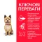 Hill’s Science Plan Adult Healthy Mobility Small&Mini Сухий корм для підтримання здорової рухливості дорослих собак малих і мініатюрних порід, з куркою, 1,5 кг — Фото 5