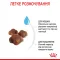 Сухий корм Royal Canin MOTHER&BABYCAT для кошенят всіх порід 0,4 кг — Фото 12