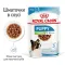 Вологий корм Royal Canin XSMALL PUPPY для цуценят всіх порід 85 г — Фото 12
