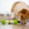 Інтерактивна Автоматична Іграшка Petgeek Playbone для Собак L — Фото 8