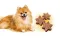 Ласощі Brit Care Mini Treats Shine для собак малих порід, для блиску шерсті, з лососем, 50 г — Фото 5