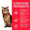 Hill's Science Plan Adult Sensitive Stomach&Skin Сухий корм для котів із чутливим травленням та шкірою, з куркою, 0,3 кг — Фото 7