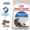 Сухий корм Royal Canin INDOOR LONGHAIR для котів всіх порід 2 кг — Фото 7