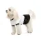 Сукня Chanti ТМ Pet Fashion для собак XS2 білий/чорний — Фото 5