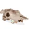 Декорація череп буйвола Terrario Buffalo Skull 21x12x8см (22128) — Фото 11