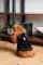 Дублянка Pet Fashion Black S для собак — Фото 10
