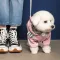 Дощовик Pet Fashion «Ariel» для дівчинки, розмір XS, рожевий — Фото 7