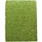 Фон моховий Repti-Zoo Natural Moss Back & Bottom 20x30см 2шт. (NCM3020) — Фото 8
