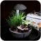Мінітераріум Chihiros Tiny Terrarium Egg з LED-підсвіткою та керуванням через застосунок — Фото 10
