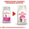 Сухий корм Royal Canin EXIGENT SAVOUR для котів всіх порід 4 кг — Фото 8