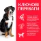 Hill’s Science Plan Adult Large Breed Сухий корм для дорослих собак великих порід, з куркою, 14 кг — Фото 7
