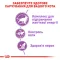 Сухий корм Royal Canin STERILISED 7+ для Кіт 10 кг — Фото 12